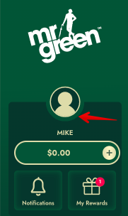 Mr Green casino withdrawal