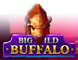 Big Wild Buffalo logo