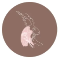 Thumbnail for version as of 10:11, 18 December 2025