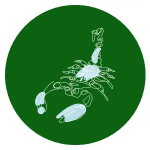 green lucky scorpio color