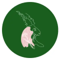 Thumbnail for version as of 10:11, 18 December 2025