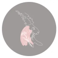Thumbnail for version as of 10:12, 18 December 2025